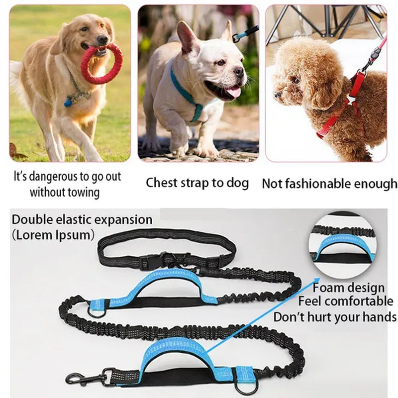 Dog Running Comfortable Leashes Dog Accessories Leash for Dogs Supplies Chiens Traction Rope Pet Elastic Dog Supplies